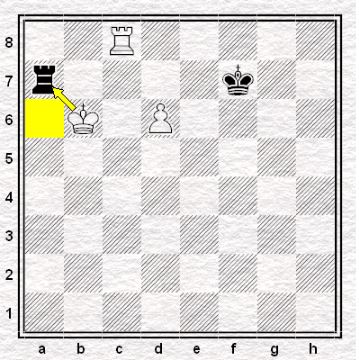 Short side - Long side