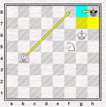 King, Bishop and Knight vs King
